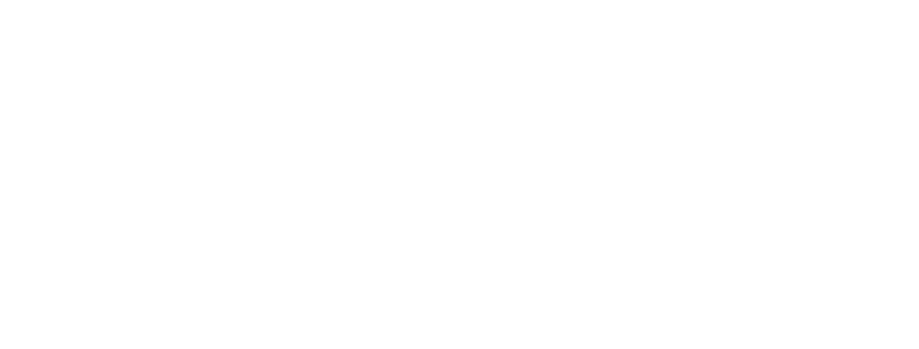 Sofiane Pamart