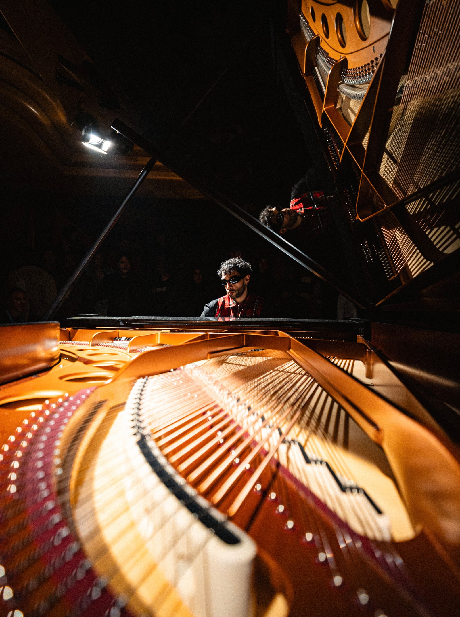 Sofiane Pamart vu à travers les cordes de son piano à queue